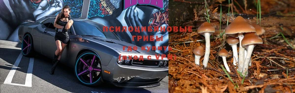 дурь Алексин