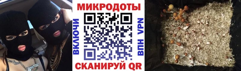 Псилоцибиновые грибы Cubensis  Железногорск-Илимский 